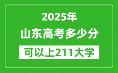 2025年山东高考多少分可以上211大学？附山东投档线