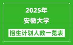 2025年安徽大学在各省招生计划人数一览表
