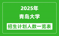 2025年青岛大学在各省招生计划人数一览表