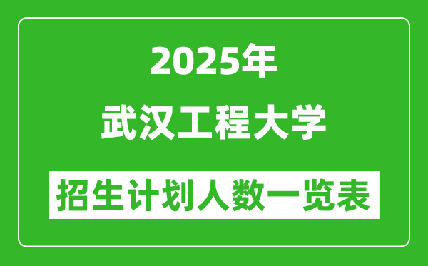 2025年武汉工程大学在各省招生计划人数一览表