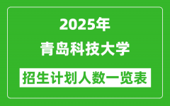 2025年青岛科技大学在各省招生计划人数一览表