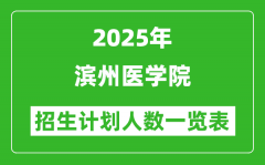 2025年滨州医学院在各省招生计划人数一览表