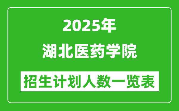 2025年湖北医药学院在各省招生计划人数一览表