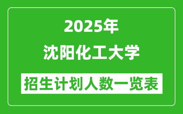 2025年沈阳化工大学在各省招生计划人数一览表