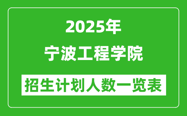2025年宁波工程学院在各省招生计划人数一览表