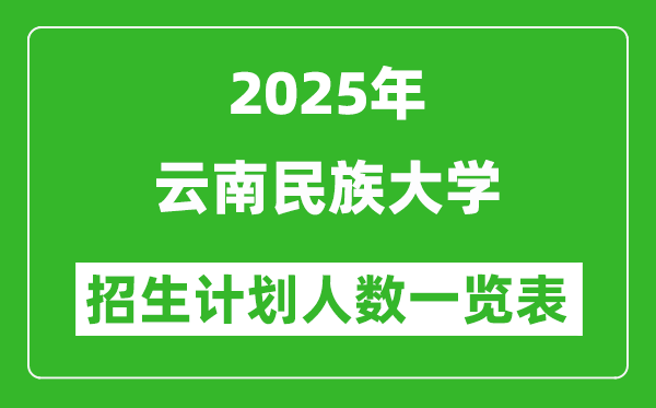 2025年云南民族大学在各省招生计划人数一览表