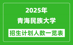 2025年青海民族大学在各省招生计划人数一览表
