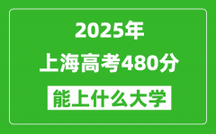2025上海高考480分左右的大学一览表