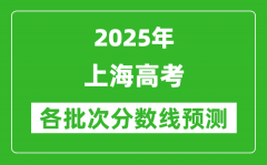 2025上海高考分数线预测_各批次分数线预计是多少？