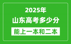 预计2025年山东高考多少能上一本和二本_录取分数线预测