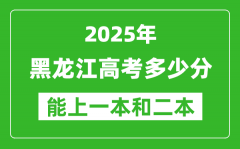 预计2025年黑龙江高考多少能上一本和二本_录取分数线预测