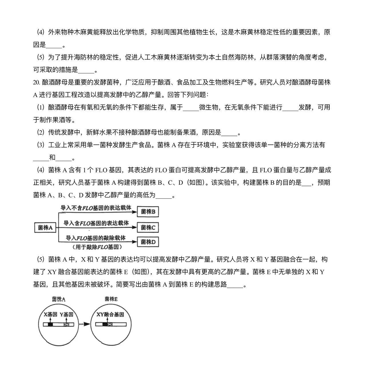 2025年海南高考生物试卷真题及答案解析(完整版)
