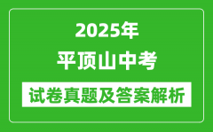 2025年平顶山中考政治试卷真题及答案解析(考后更新)