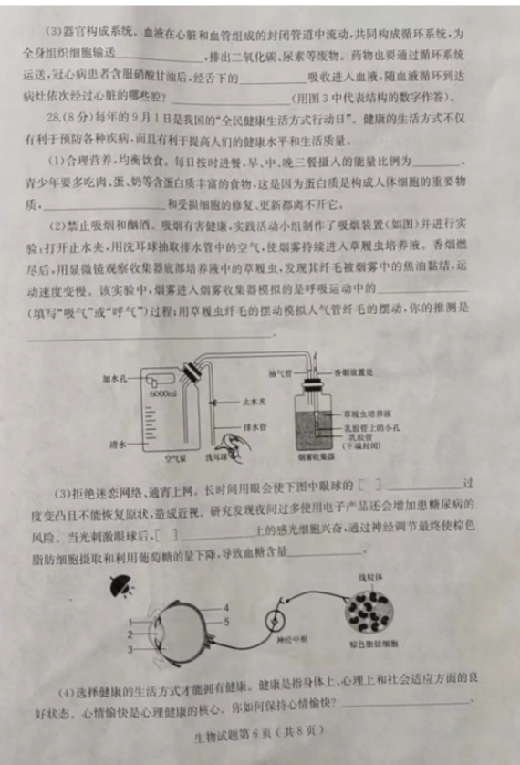 2025年山东中考生物试卷真题及答案解析