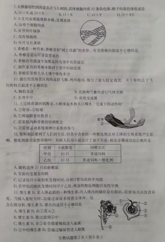 2025年山东中考生物试卷真题及答案解析
