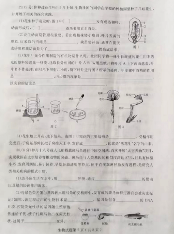 2025年山东中考生物试卷真题及答案解析