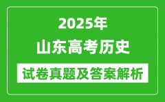 2025年山东高考历史试卷真题及答案解析(完整版)