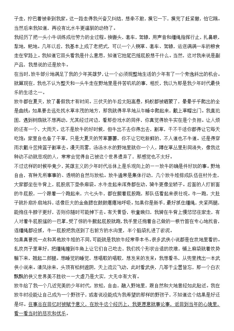 2025年新高考一卷语文试卷真题及答案解析(完整版)
