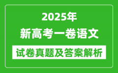 2025年新高考一卷语文试卷真题及答案解析(完整版)