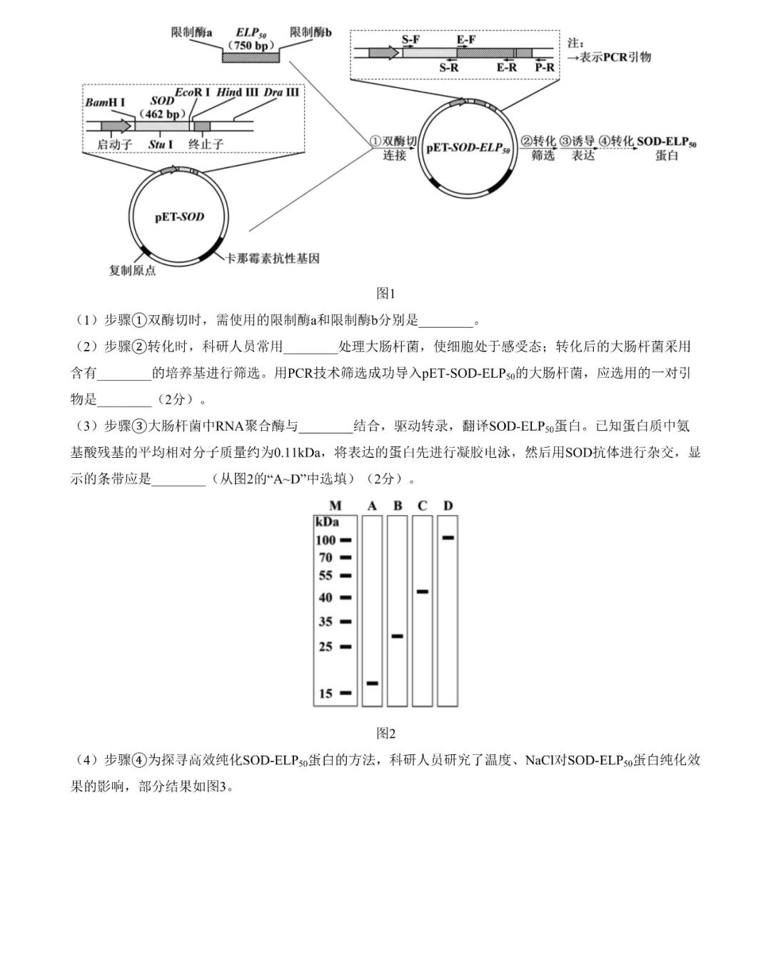2025年江苏高考生物试卷真题及答案解析(完整版)