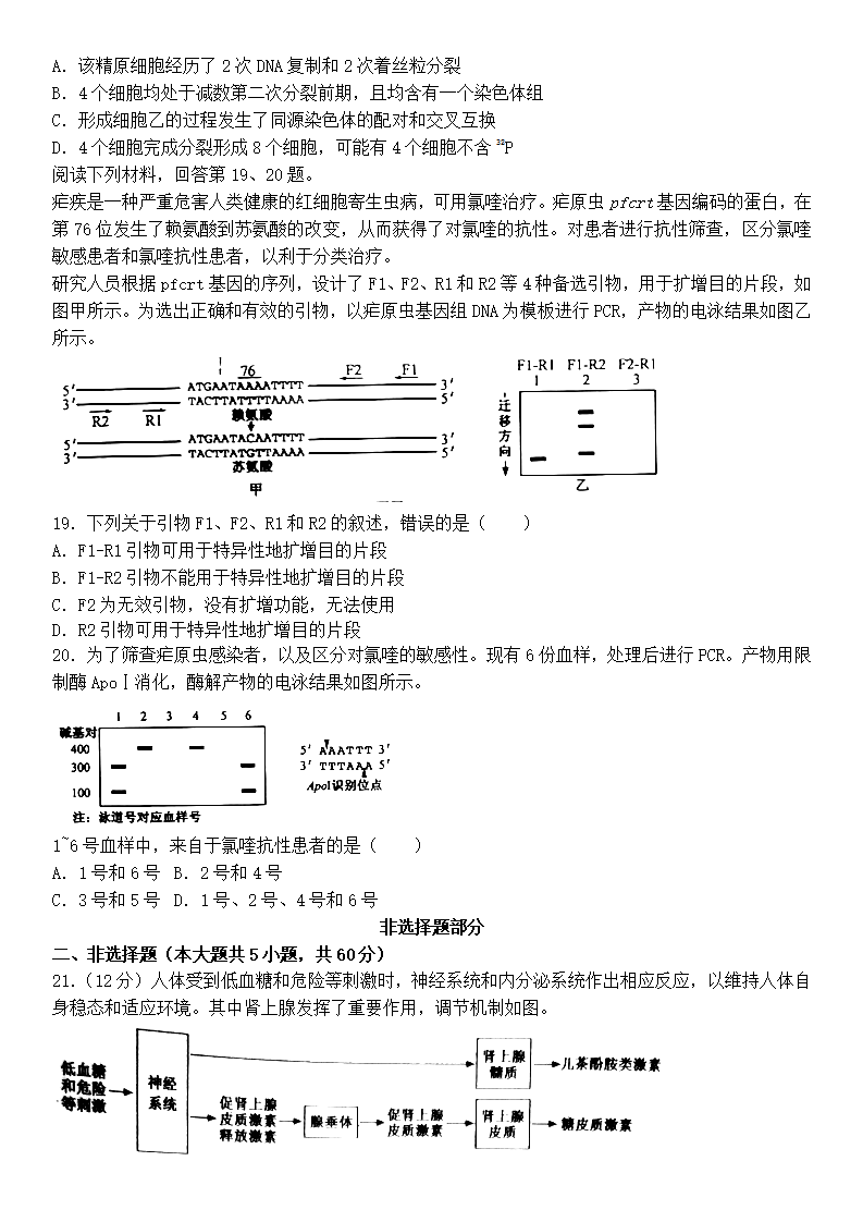2025年浙江高考生物试卷真题及答案解析(完整版)