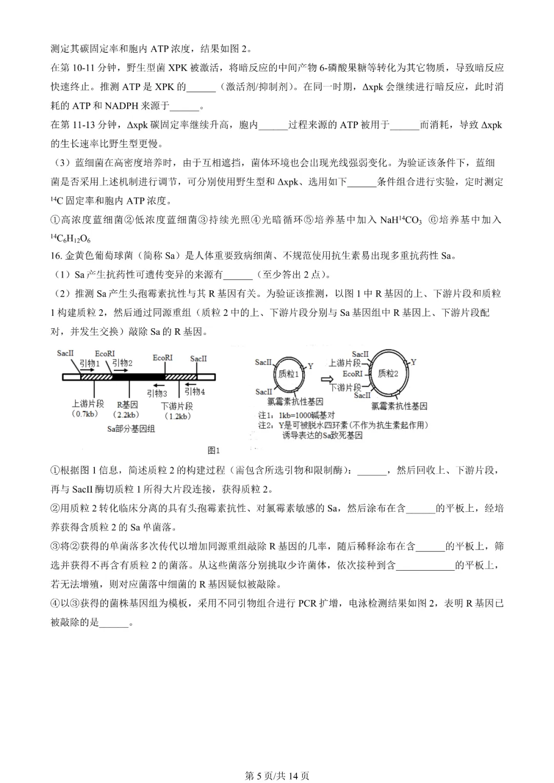2025年天津高考生物试卷真题及答案解析(完整版)