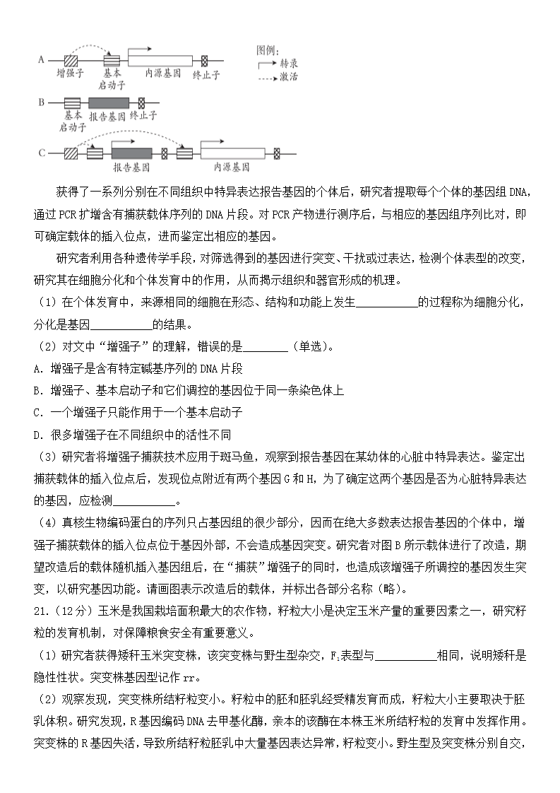 2025年北京高考生物试卷真题及答案解析(完整版)