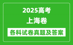 2025高考上海卷各科试卷真题及答案(9科全)
