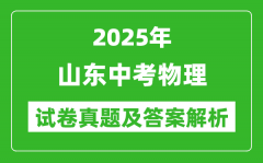 2025年山东中考物理试卷真题及答案解析(考后更新)