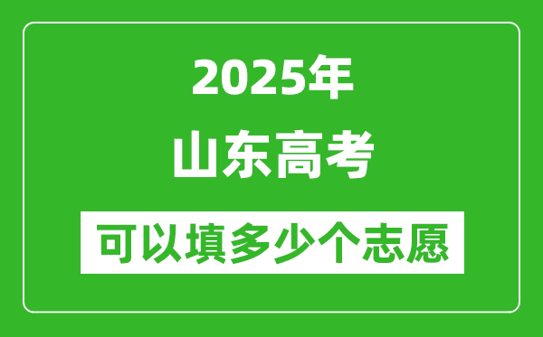2025年山东高考志愿可以填多少个志愿,可以报多少个学校和专业?