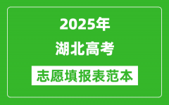2025湖北高考志愿表填写范本电子版_附志愿样表及填报技巧