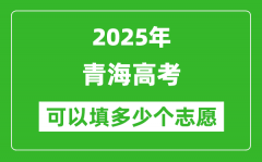 2025年青海高考志愿可以填多少个志愿_可以报多少个学校和专业？