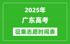 2025年广东高考征集志愿时间安排时间表_什么时候填报