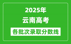 2025年云南高考征集志愿时间安排时间表_什么时候填报