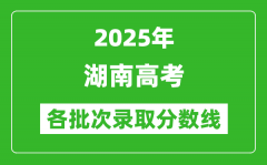 2025年湖南高考一分一段表_高考档分1分段统计表