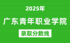广东青年职业学院2025年录取分数线（含2024历年）