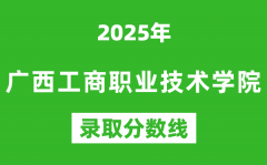 广西工商职业技术学院2025年录取分数线（含2024历年）