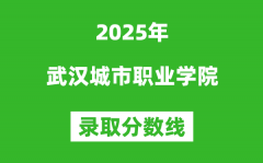 武汉城市职业学院2025年录取分数线（含2024历年）
