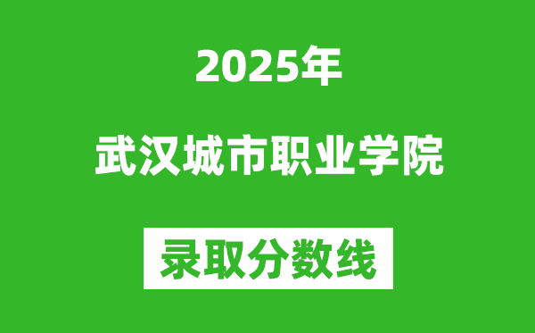 武汉城市职业学院2025年录取分数线（含2024历年）