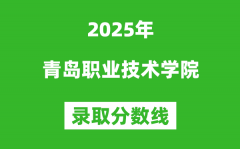 青岛职业技术学院2025年录取分数线（含2024历年）