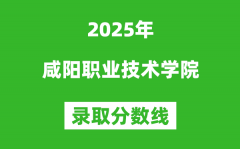 咸阳职业技术学院2025年录取分数线（含2024历年）